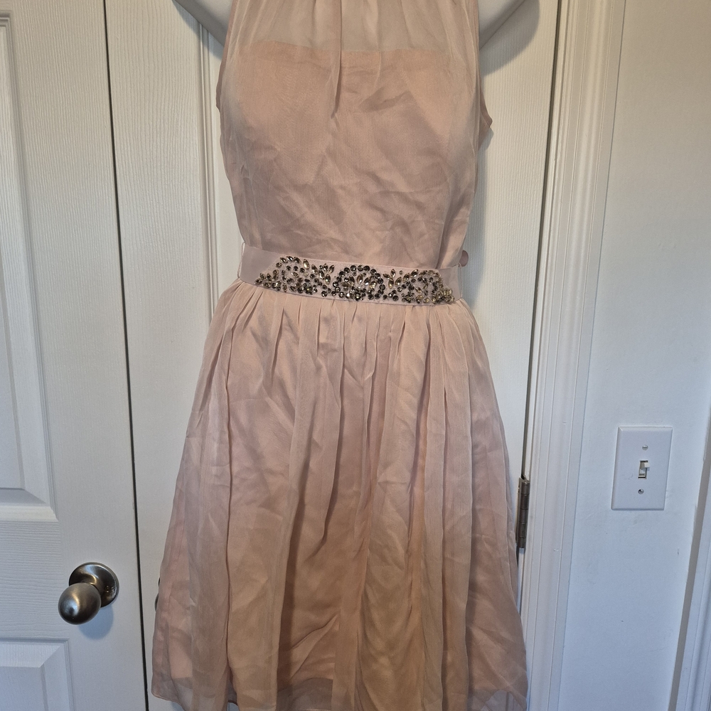 Adrianna Papell Blush Pink Beaded Waist Cocktail Dress
